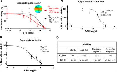 A perfused multi-well bioreactor platform to assess tumor organoid response to a chemotherapeutic gradient